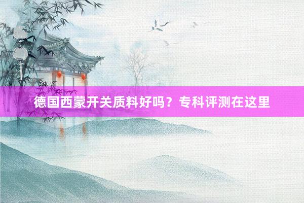 德国西蒙开关质料好吗？专科评测在这里