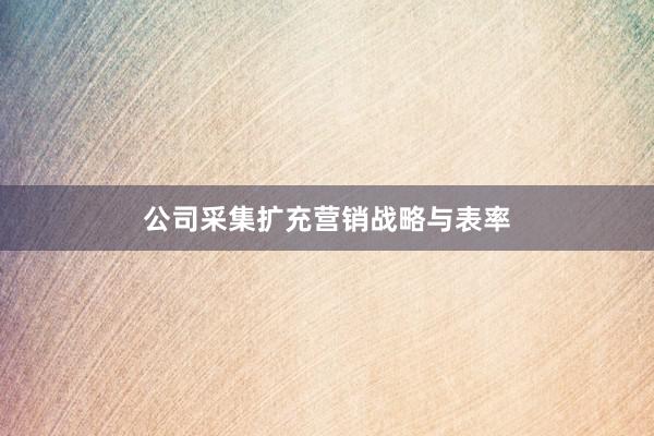 公司采集扩充营销战略与表率